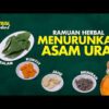 ramuan herbal alami asam urat