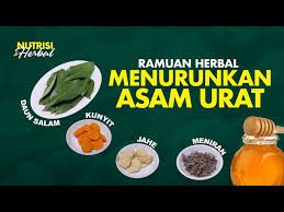 ramuan herbal alami asam urat