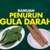 ramuan herbal alami diabetes