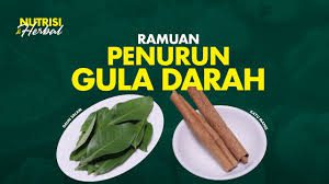 ramuan herbal alami diabetes