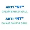 Apa Arti NT dalam Percintaan? Bahasa Gaul yang Lagi Viral