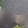 Kehebohan: Bule Italia Lakukan Berhubungan di Depan Rumah Warga Bali Viral
