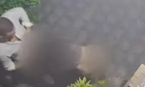 Kehebohan: Bule Italia Lakukan Berhubungan di Depan Rumah Warga Bali Viral