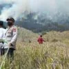 Kebakaran Gunung