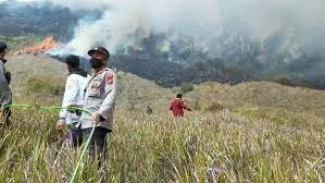 Kebakaran Gunung